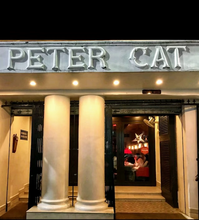 Peter Cat Review